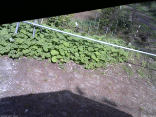 長野県菅平高原 ゆたか山荘 駐車場 2026/05/13 14:45