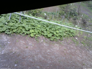 長野県菅平高原 ゆたか山荘 駐車場 2026/05/13 15:00