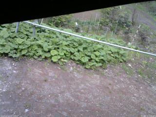 長野県菅平高原 ゆたか山荘 駐車場 2026/05/13 15:15