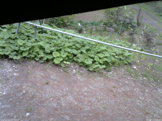 長野県菅平高原 ゆたか山荘 駐車場 2026/05/13 15:45