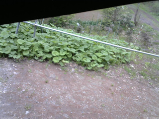 長野県菅平高原 ゆたか山荘 駐車場 2026/05/13 16:30