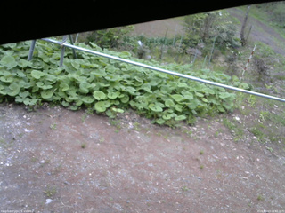 長野県菅平高原 ゆたか山荘 駐車場 2026/05/13 16:45
