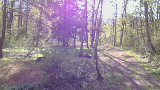 長野県菅平高原 ゆたか山荘 坂上 2026/05/13 07:00
