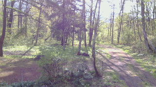 長野県菅平高原 ゆたか山荘 坂上 2026/05/13 07:15