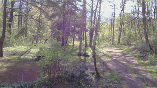 長野県菅平高原 ゆたか山荘 坂上 2026/05/13 07:30