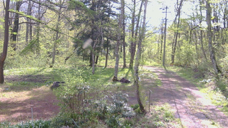 長野県菅平高原 ゆたか山荘 坂上 2026/05/13 08:15
