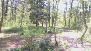 長野県菅平高原 ゆたか山荘 坂上 2026/05/13 09:00