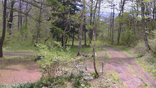 長野県菅平高原 ゆたか山荘 坂上 2026/05/13 10:15