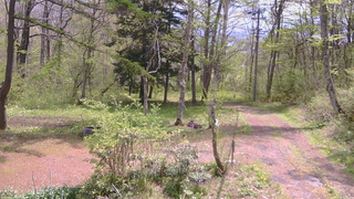 長野県菅平高原 ゆたか山荘 坂上 2026/05/13 10:45