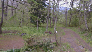 長野県菅平高原 ゆたか山荘 坂上 2026/05/13 13:30