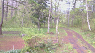 長野県菅平高原 ゆたか山荘 坂上 2026/05/13 17:30