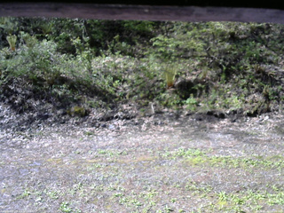 長野県菅平高原 ゆたか山荘 東側(坂下) 2026/05/14 08:00