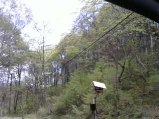 長野県菅平高原 ゆたか山荘 温度計 2026/05/14 11:30