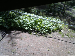 長野県菅平高原 ゆたか山荘 駐車場 2026/05/14 08:15