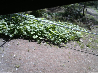長野県菅平高原 ゆたか山荘 駐車場 2026/05/14 08:45