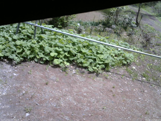 長野県菅平高原 ゆたか山荘 駐車場 2026/05/14 10:30