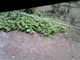 長野県菅平高原 ゆたか山荘 駐車場 2026/05/14 11:00