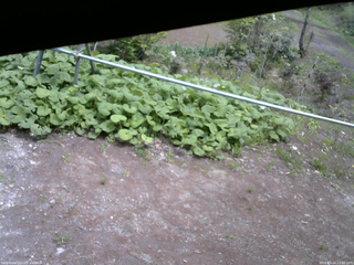 長野県菅平高原 ゆたか山荘 駐車場 2026/05/14 12:00