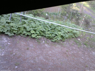 長野県菅平高原 ゆたか山荘 駐車場 2026/05/14 17:15