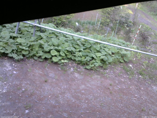 長野県菅平高原 ゆたか山荘 駐車場 2026/05/14 17:30