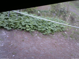 長野県菅平高原 ゆたか山荘 駐車場 2026/05/14 18:15