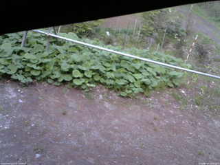 長野県菅平高原 ゆたか山荘 駐車場 2026/05/14 18:30