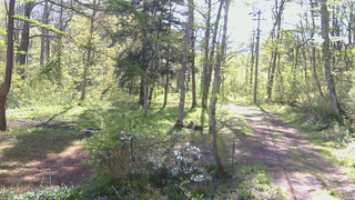 長野県菅平高原 ゆたか山荘 坂上 2026/05/14 08:00