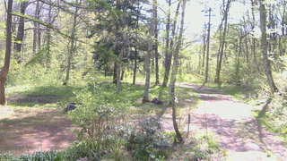 長野県菅平高原 ゆたか山荘 坂上 2026/05/14 09:00