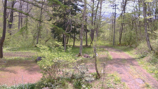 長野県菅平高原 ゆたか山荘 坂上 2026/05/14 10:15