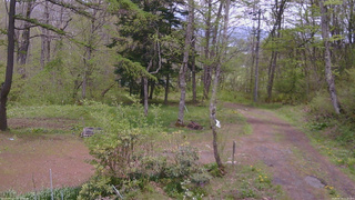 長野県菅平高原 ゆたか山荘 坂上 2026/05/14 12:15