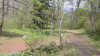 長野県菅平高原 ゆたか山荘 坂上 2026/05/14 13:15