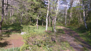 長野県菅平高原 ゆたか山荘 坂上 2026/05/14 15:45