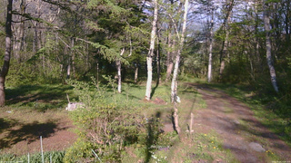 長野県菅平高原 ゆたか山荘 坂上 2026/05/14 16:30