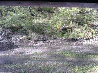 長野県菅平高原 ゆたか山荘 東側(坂下) 2026/05/15 07:15
