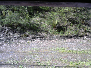 長野県菅平高原 ゆたか山荘 東側(坂下) 2026/05/15 07:45