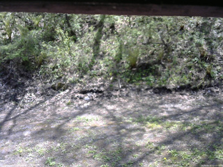 長野県菅平高原 ゆたか山荘 東側(坂下) 2026/05/15 12:15