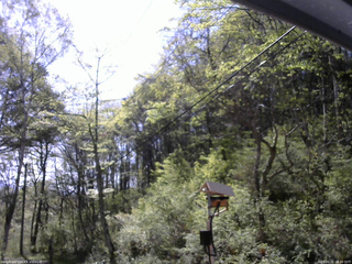 長野県菅平高原 ゆたか山荘 温度計 2026/05/15 08:30