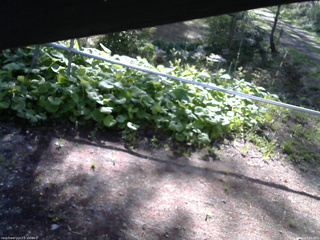 長野県菅平高原 ゆたか山荘 駐車場 2026/05/15 07:30