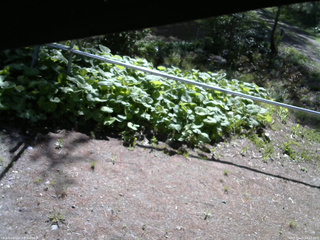 長野県菅平高原 ゆたか山荘 駐車場 2026/05/15 08:15