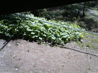 長野県菅平高原 ゆたか山荘 駐車場 2026/05/15 08:30