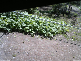 長野県菅平高原 ゆたか山荘 駐車場 2026/05/15 09:00