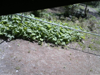 長野県菅平高原 ゆたか山荘 駐車場 2026/05/15 09:15