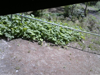 長野県菅平高原 ゆたか山荘 駐車場 2026/05/15 09:45