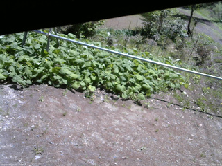 長野県菅平高原 ゆたか山荘 駐車場 2026/05/15 10:45