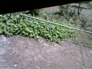 長野県菅平高原 ゆたか山荘 駐車場 2026/05/15 11:00