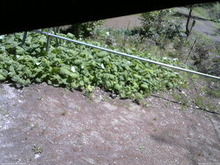 長野県菅平高原 ゆたか山荘 駐車場 2026/05/15 11:15