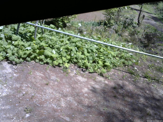 長野県菅平高原 ゆたか山荘 駐車場 2026/05/15 12:00