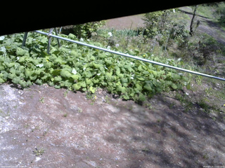 長野県菅平高原 ゆたか山荘 駐車場 2026/05/15 12:15