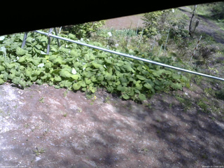 長野県菅平高原 ゆたか山荘 駐車場 2026/05/15 13:00