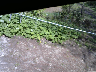長野県菅平高原 ゆたか山荘 駐車場 2026/05/15 14:00